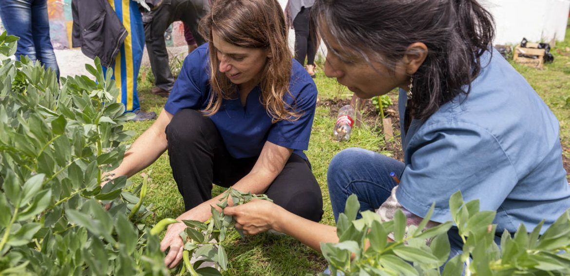Tu huerta agroecológica en casa