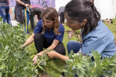 Tu huerta agroecológica en casa